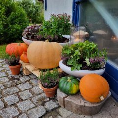 herbstmoment